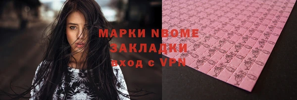 PSILOCYBIN Богданович