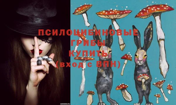 крисы Беломорск