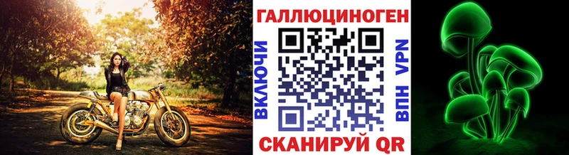 Псилоцибиновые грибы Cubensis  Купить  Щёкино 